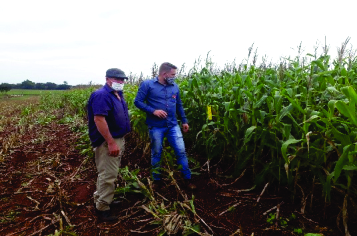 Leia mais sobre o artigo Tecnologia MPK Agrotech controla cigarrinha em lavoura de milho Safrinha/21 em Santa Helena – Oeste do Paraná.